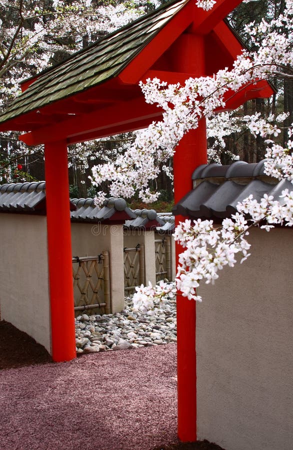 Cherry Blossoms over a Pagoda