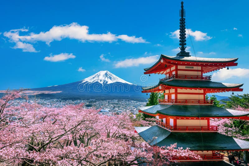 Cherry blossoms in spring, Chureito pagoda and Fuji mountain in Japan