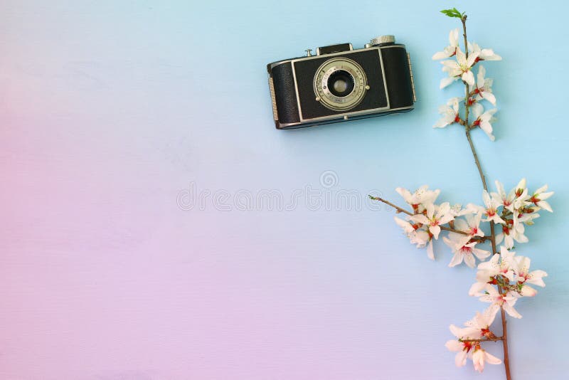 Cherry Blossoms Tree Next To Old Camera Stock Photo Image of