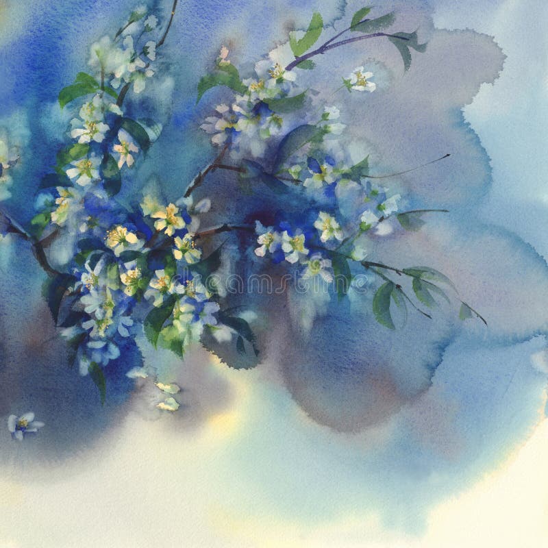 Cherry branches in bloom watercolor blue background