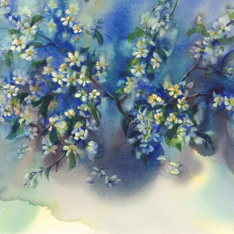 Cherry branches in bloom watercolor blue background