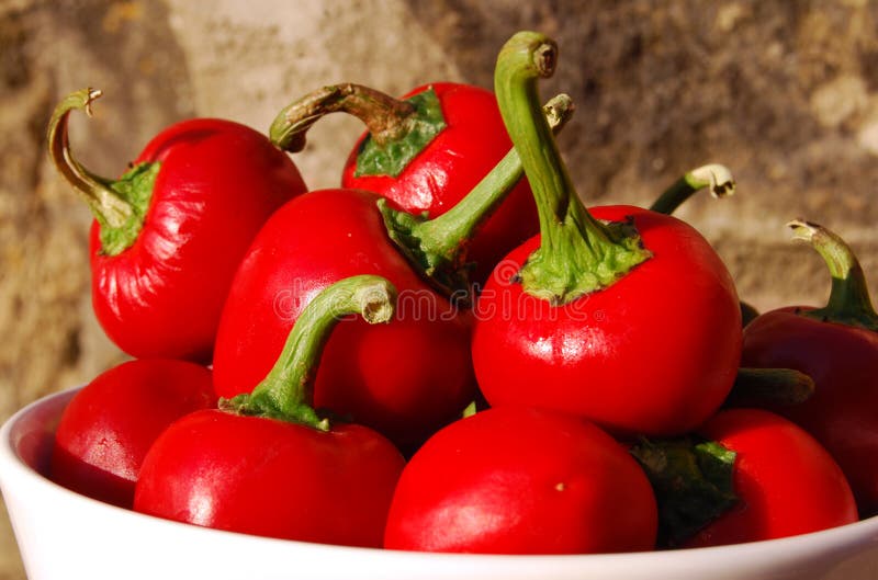 Cherry Chilis stock photo. Image of capsicum, chili, ripe 13008196