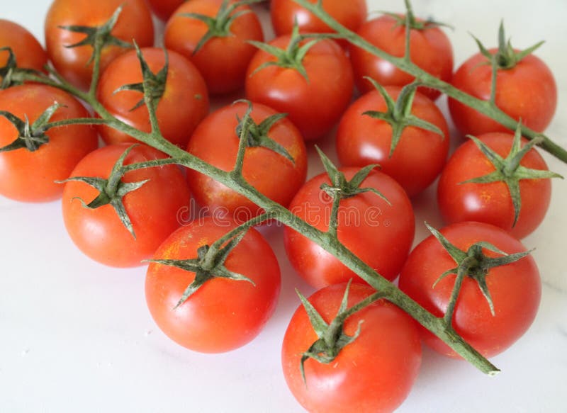 Cocktail tomatoes stock photo. Image of agriculture, tomatoes 20901230