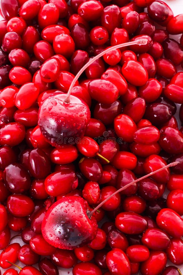 Cherry and cranberries stock image. Image of healthy 10760631