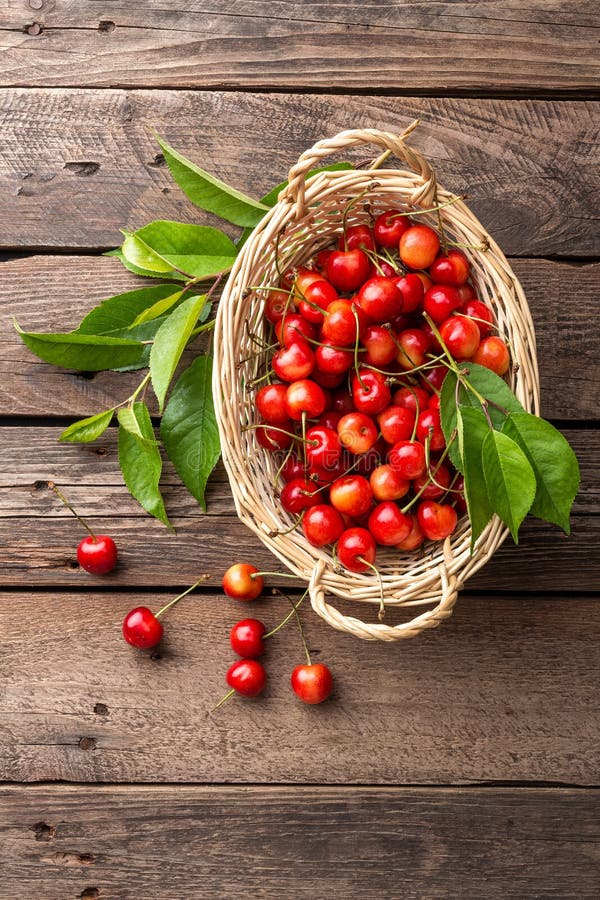 Cherry. Fresh sweet cherry with leaves in basket on wooden table