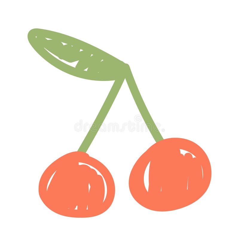Cherry Fruit Drawn by Pencil Stock Vector Illustration of outline
