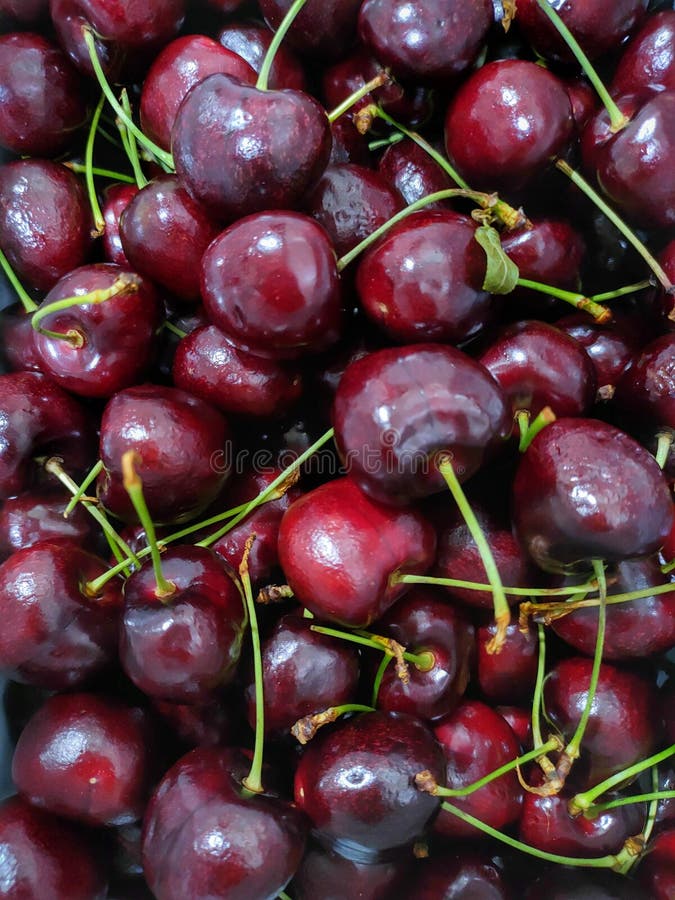 Cherry Fruit Healthy Beautiful Vitamin Stock Image Image of vitamin