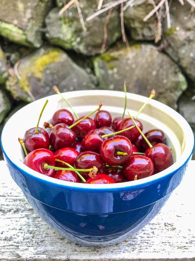 Cherry fruit stock photo. Image of bowl, aroma, freshness 197852732
