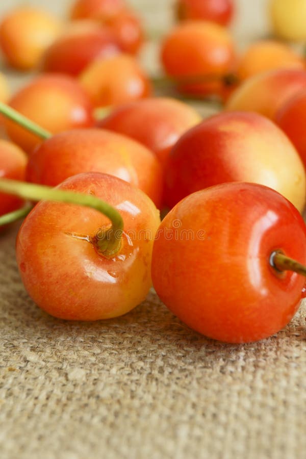 Cherry. stock photo. Image of objects, nature, cherry 31544514