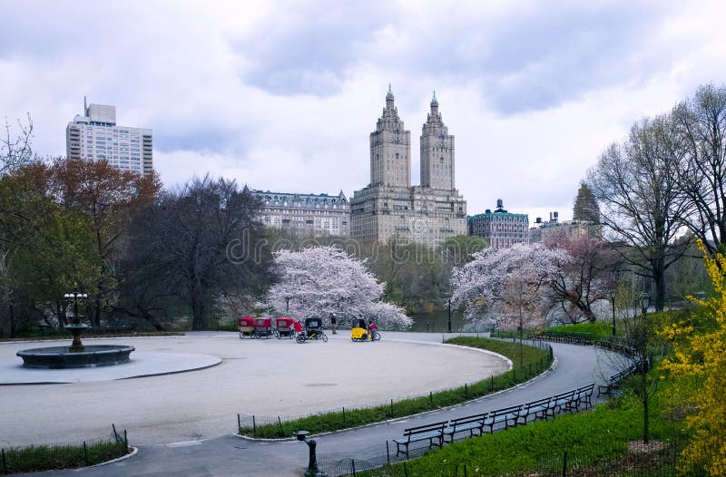 CHERRY HILL CENTRAL PARK, NYC Stock Photo Image of cherryhill