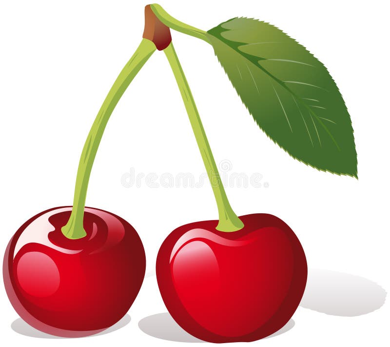 Cherry illustration stock vector. Illustration of luscious - 22827982