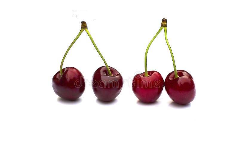 Cherry Isolated on White with Clipping Path. Four Cherries with Stems ...