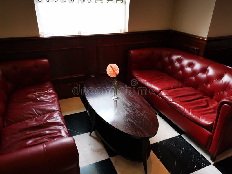 Leather Sofas and Table Decorative Flower Stock Photo Image of
