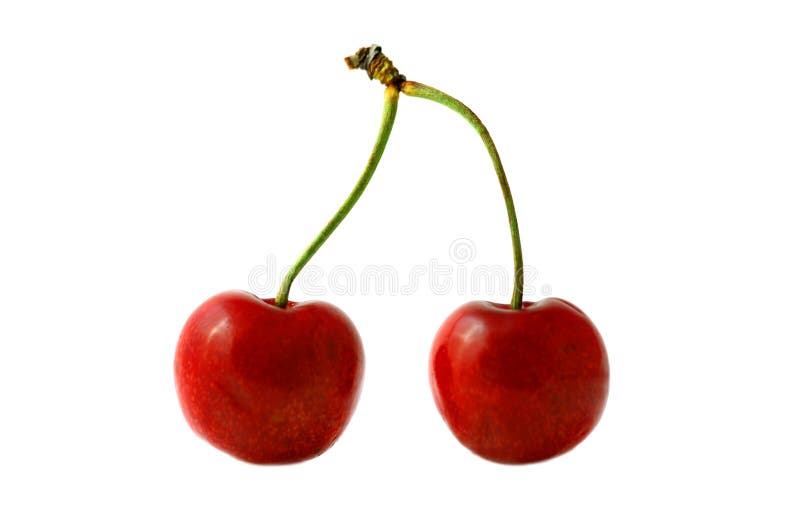 Cherry; Objects On White Background Stock Photo - Image of leaves ...