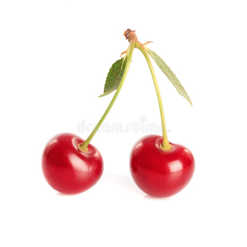 Cherry pair stock photo. Image of berry, love, taste - 19849024