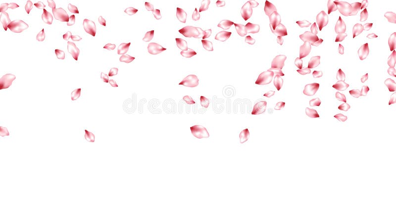 Cherry petals flying vector invitation background. Spring falling flower parts confetti, blossom elements celebration design.