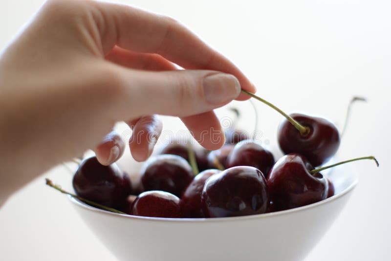 Cherry Picking stock photo. Image of palm, summer, stem 15674218