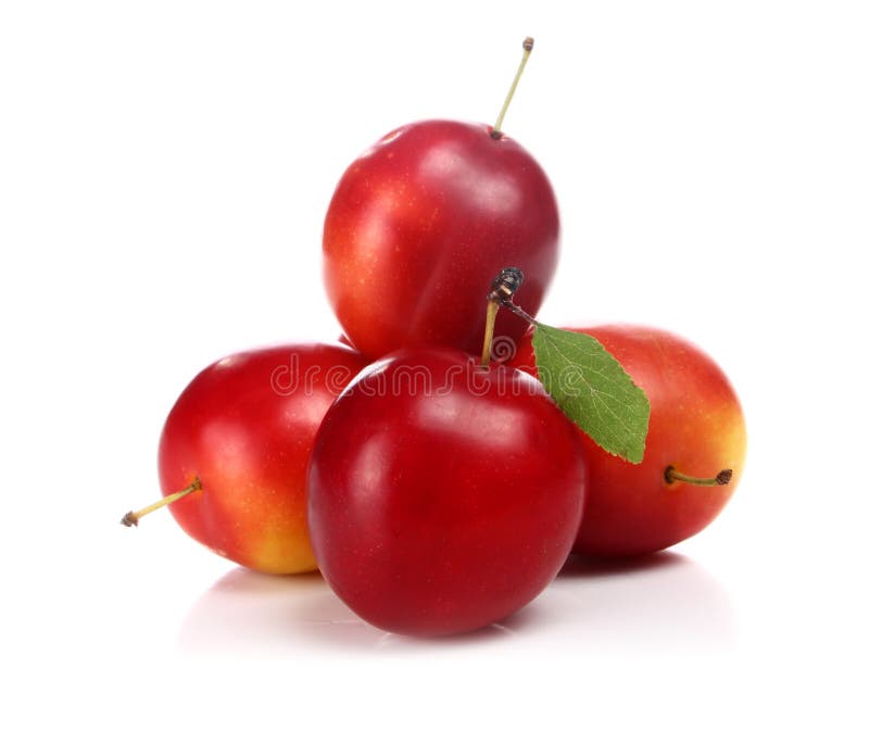 Cherry-plum