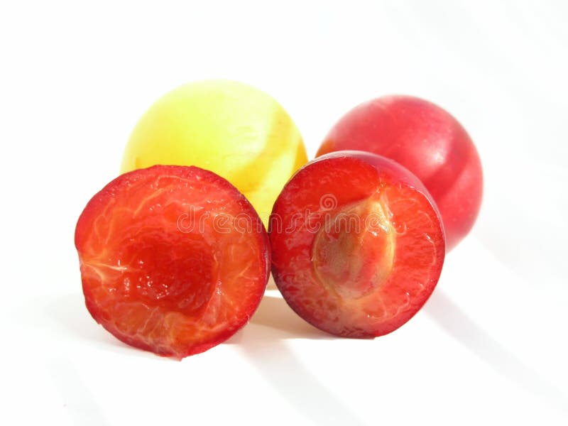 Sliced Kiwi stock image. Image of fuzzy, seeds, slice, color 12041