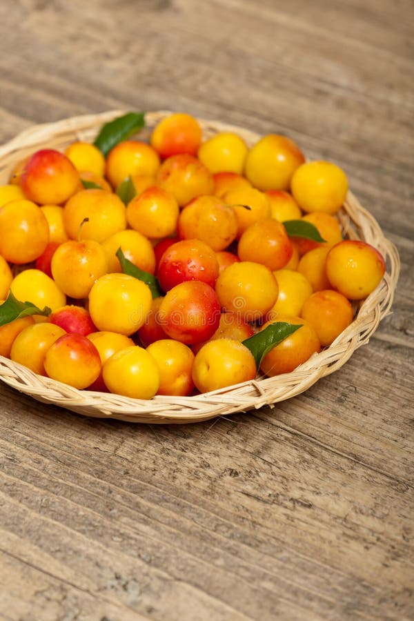 Cherry Plum stock image. Image of tkemali, diet, expensive 49707521