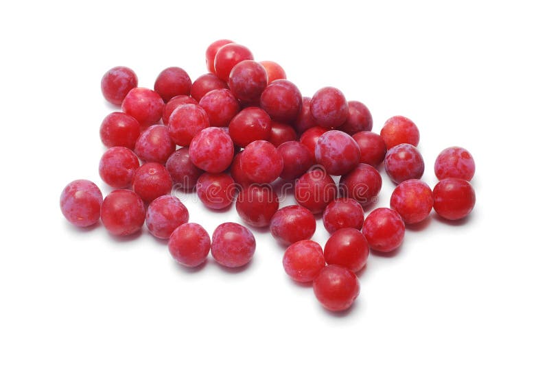 Cherryplum stock photo. Image of cherry, nutrition, sweet 31879354