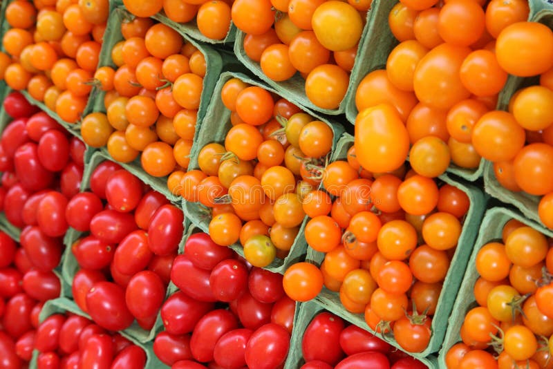 Cherry and Plum Tomatoes at Market