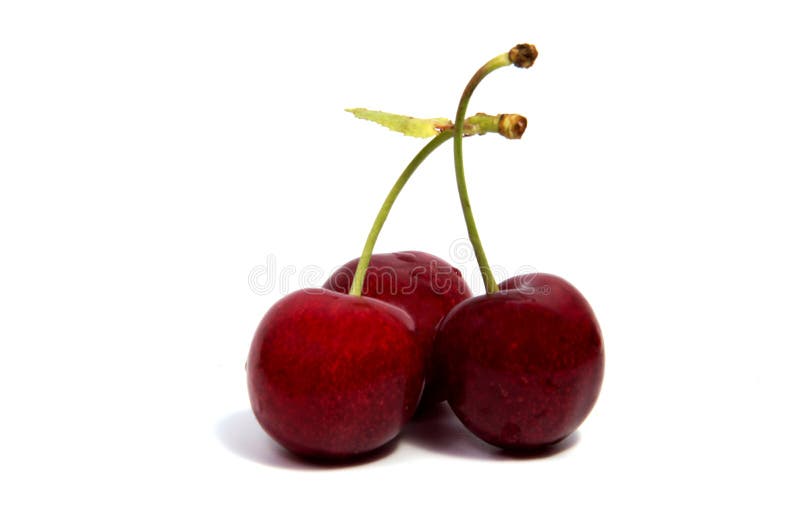 Cherry Red Fruit on White Background Isolated. Stock Photo - Image of ...