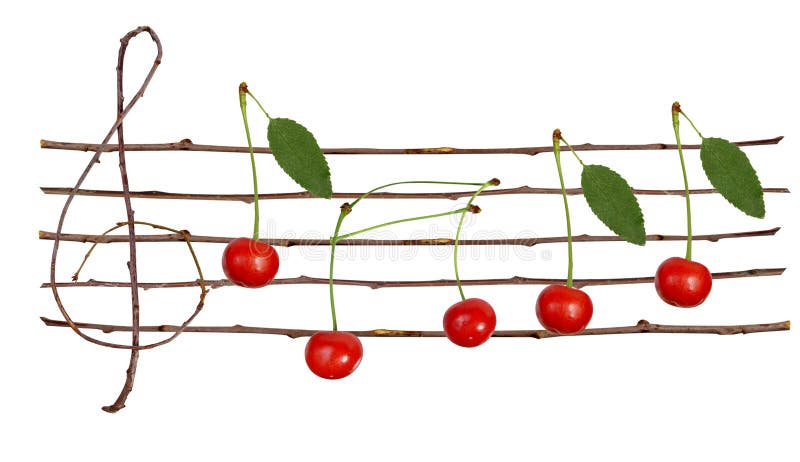 Cherry staves stock photography