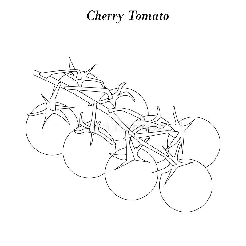 Cherry Tomato Icon stock vector. Illustration of healthy 83286417