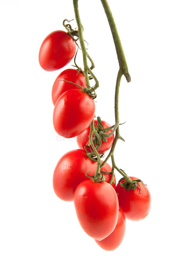 Cherry tomatoes