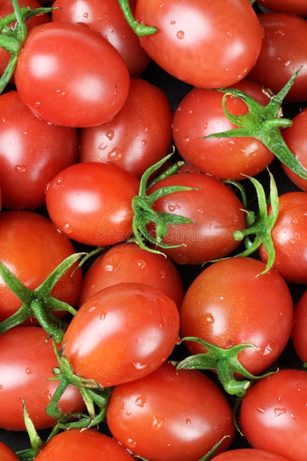 CHERRY TOMATOES