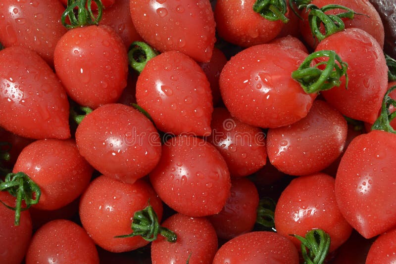 Cherry Tomatoes fresco