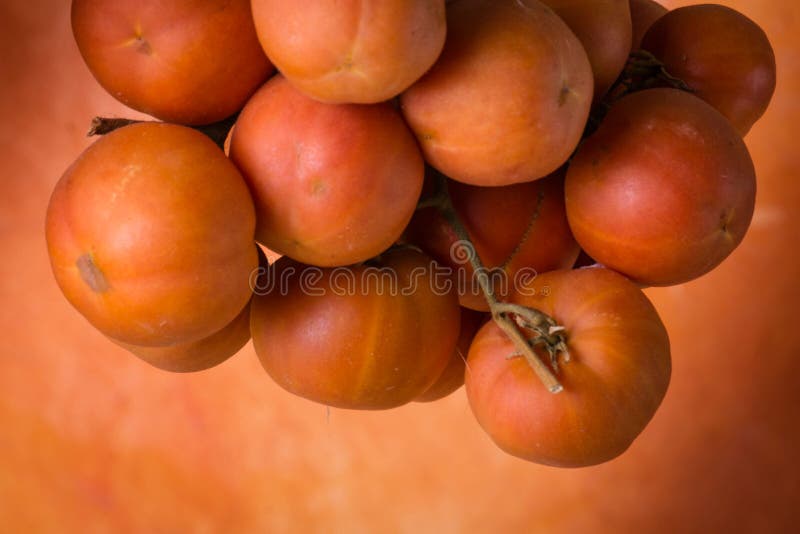 Cherry Tomatoes Hanging for Drying Stock Photo Image of apulia