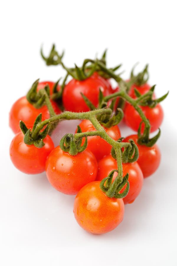 Cherry tomatoes isolated stock photo. Image of nutrition - 20546788