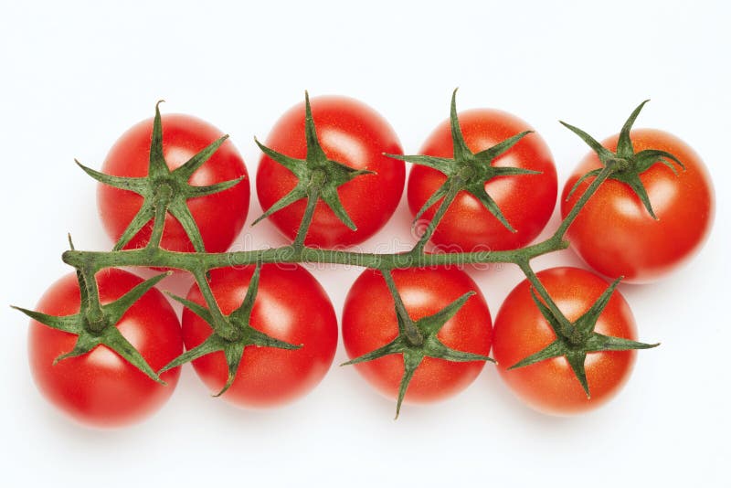 Cherry tomatoes on white background