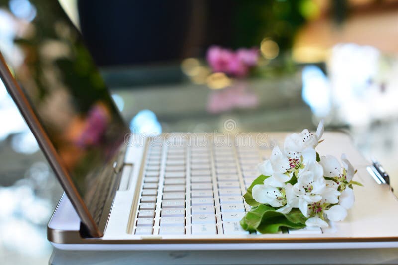 Cherry tree blossoms on white keyboard. Spring in office