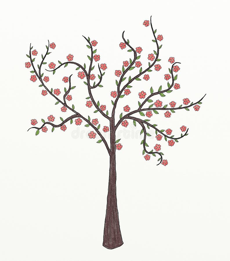Cherry Blossom Tree Illustration Tutorial  FaberCastell USA