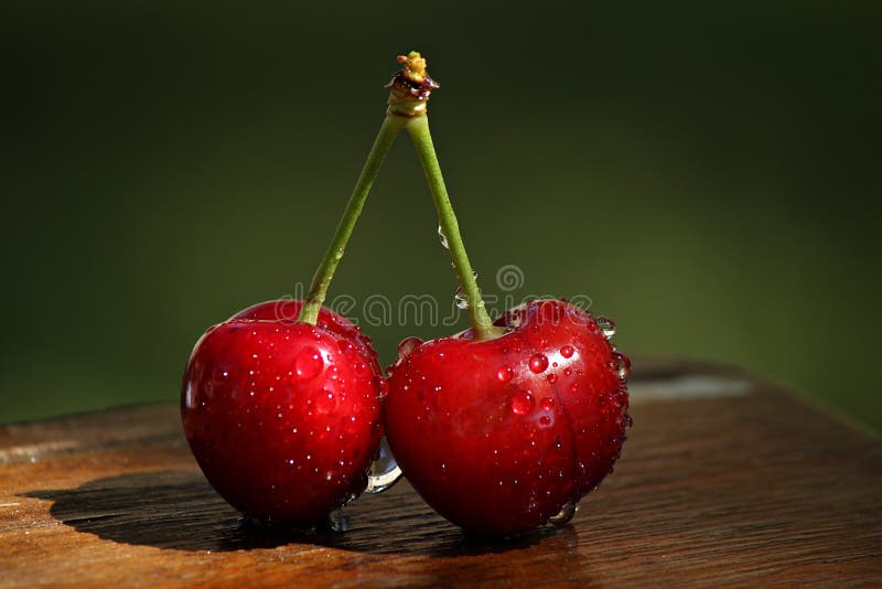 Cherry