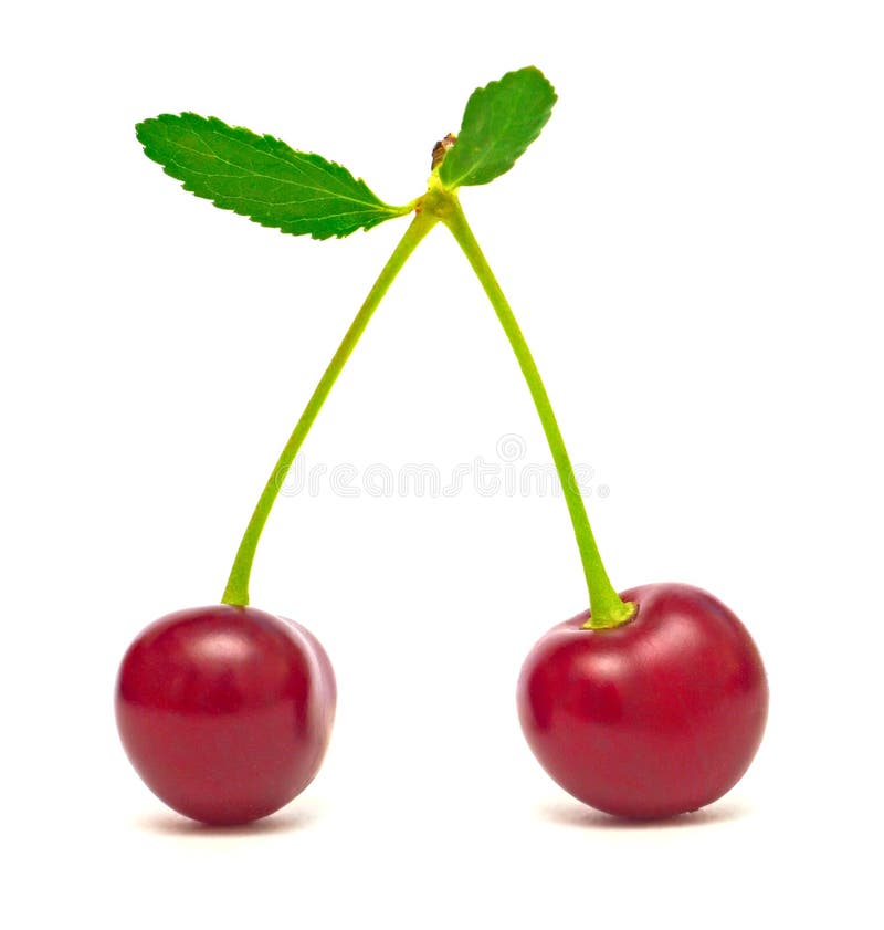 Cherry on white stock image. Image of berry, shadow, pair - 5945499
