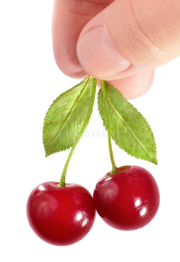 Cherry on white background royalty free stock images