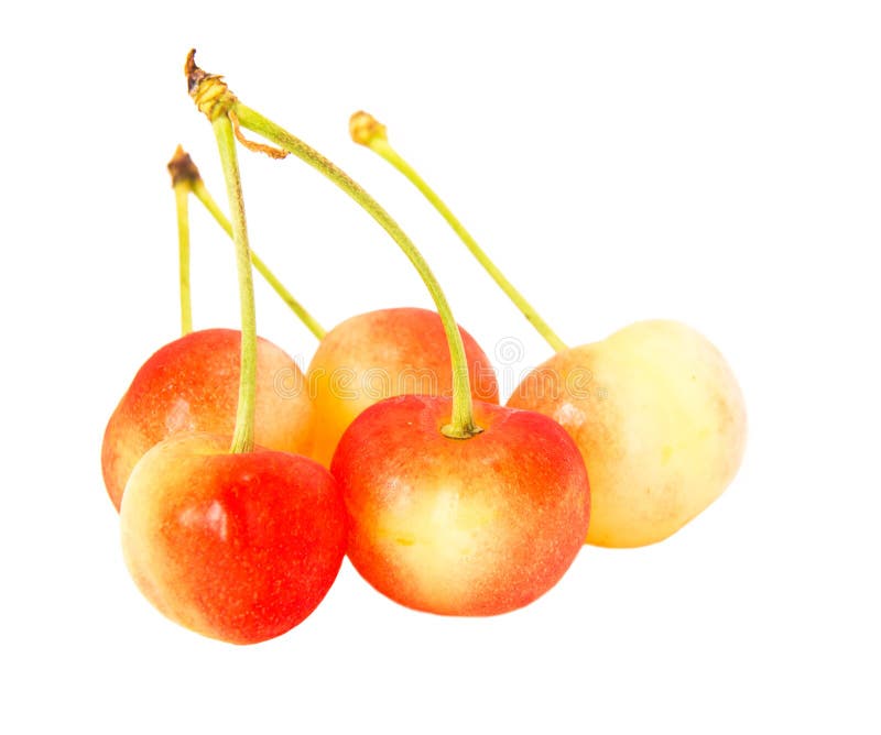 Cherry Red Fruit on White Background Isolated. Stock Image Image of