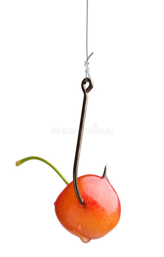 Cherrykrokyellow arkivbild Cherrykrokyellow arkivbild