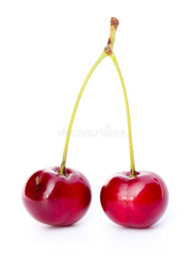 Cherrypar royaltyfri foto Cherrypar royaltyfri foto