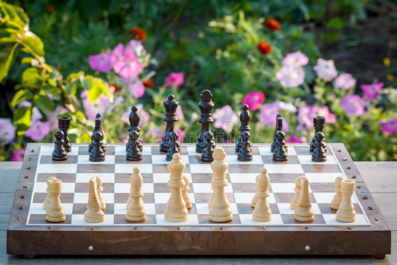 Free Photo  Green and pink pieces for chess with game board