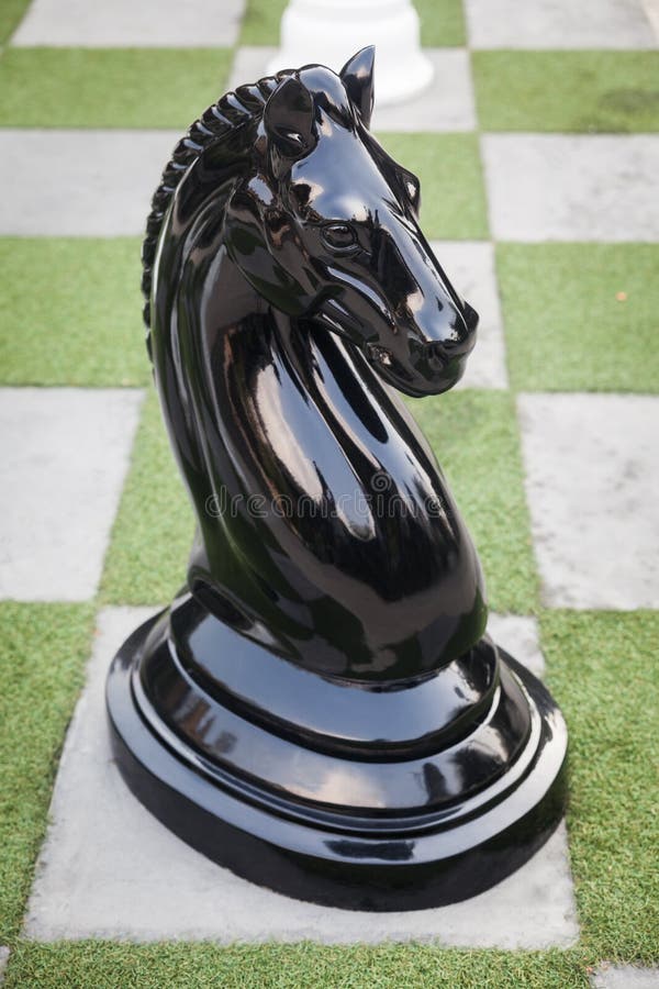 43,000+ Chess Knight Stock Photos, Pictures & Royalty-Free Images - iStock