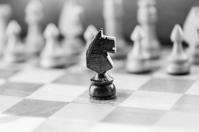 43,000+ Chess Knight Stock Photos, Pictures & Royalty-Free Images - iStock