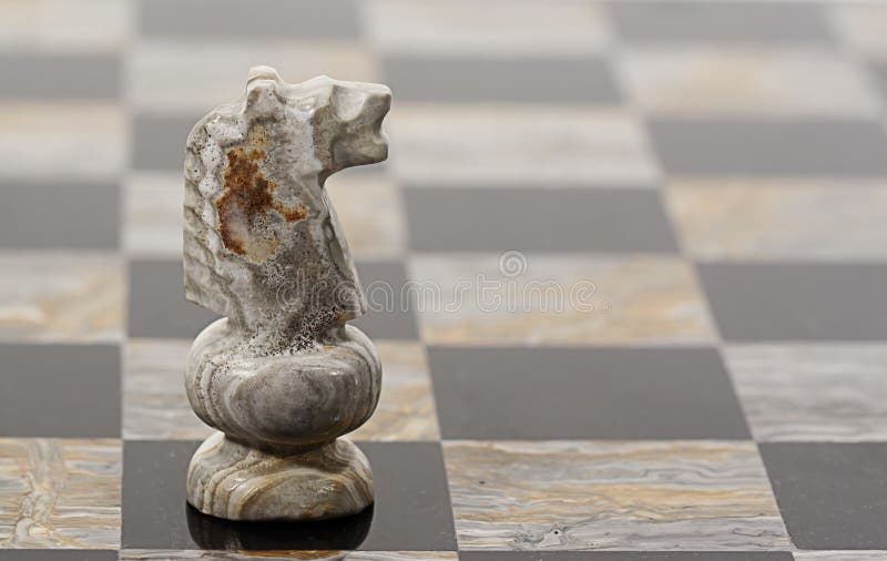 Chess Piece Knight royalty free stock photos
