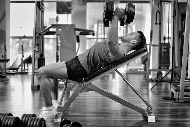 Chest Workout On Bench Press Stock Photo Image Of Active Indoor