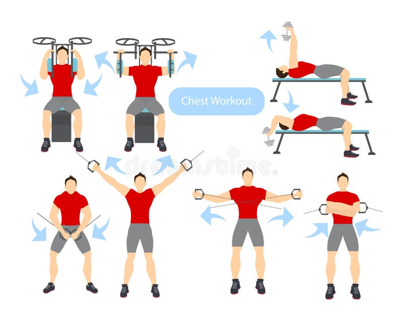 Chest Workout Stock Illustrations – 4,453 Chest Workout Stock Illustrations,  Vectors & Clipart - Dreamstime