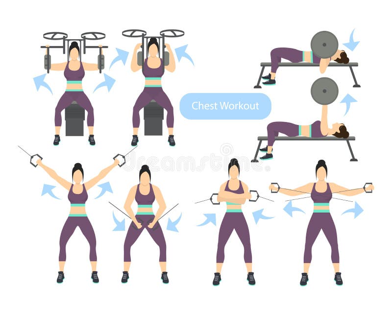 Sports Girl Sets with Different Fitness Exercises. Chest and Arm Muscle  Training. Upper Body Exercises with Sports Equipment Stock Illustration -  Illustration of fitness, toned: 179200267